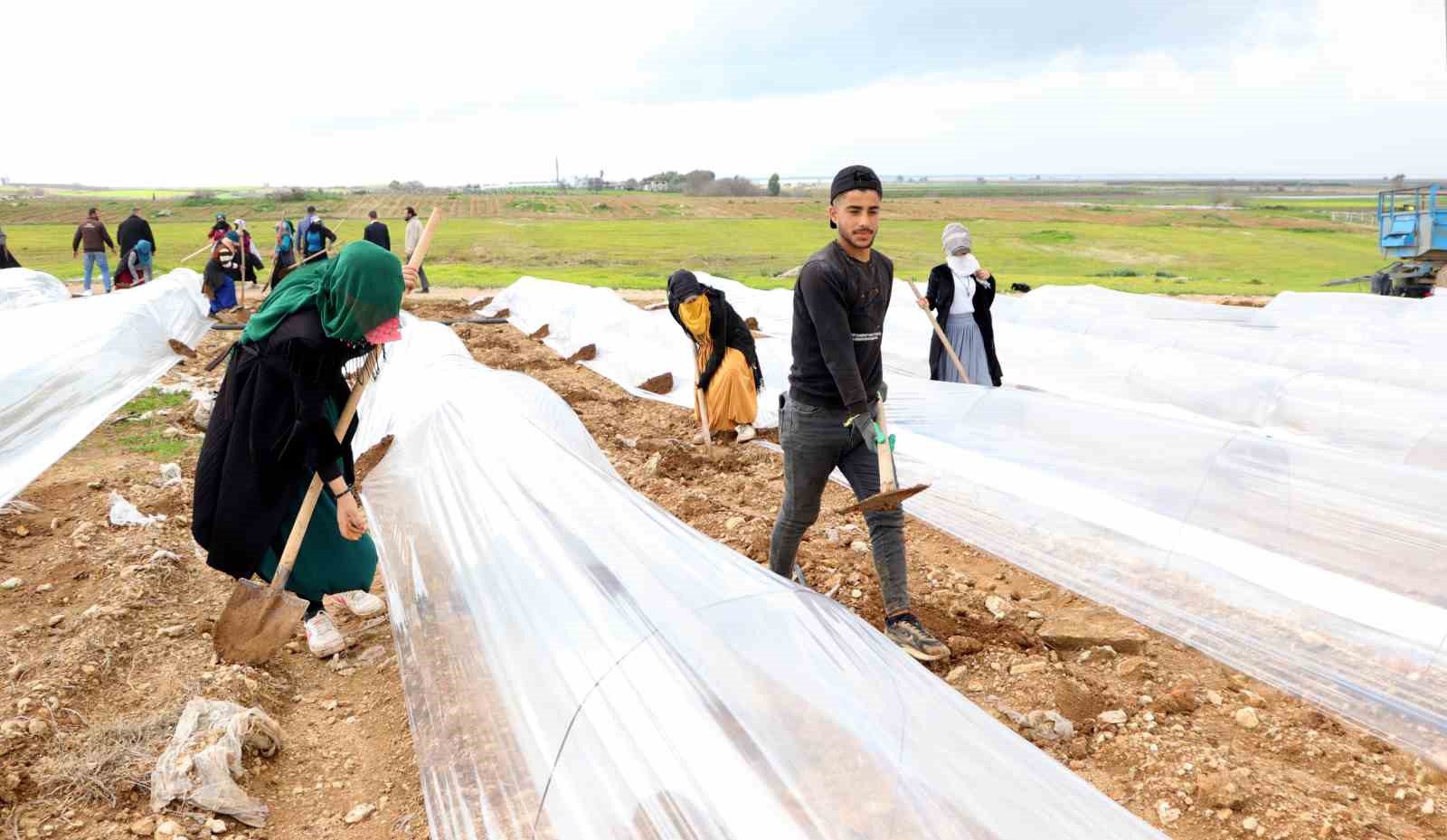 adana karpuzunda fideler toprakla bulustu 9 8n9izkhZ