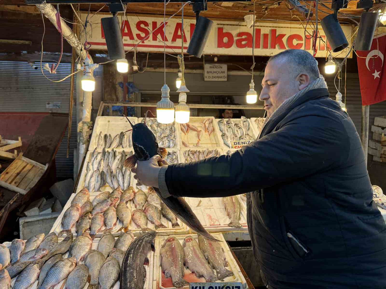 akdenizde balik bereketi 0 JbezNbYO