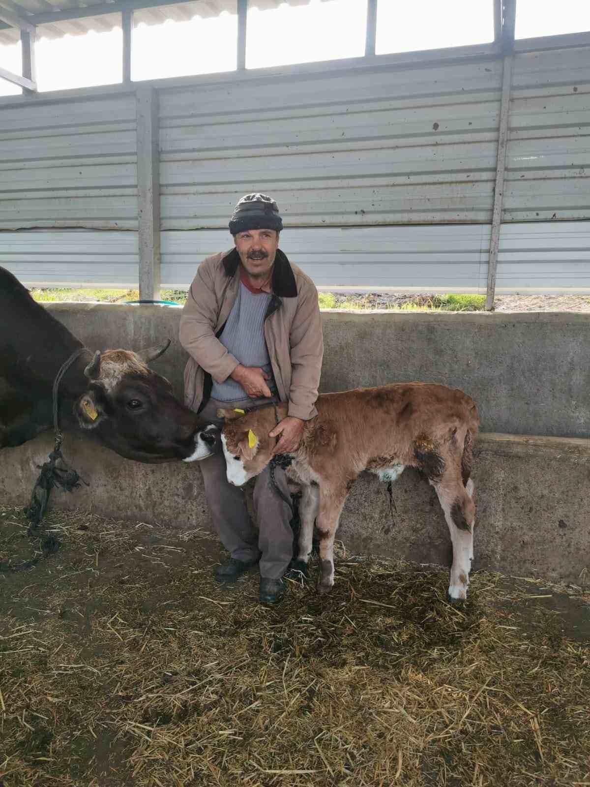 aydinda hayvan sagligi saha calismalari devam ediyor 5 LyWQinUU