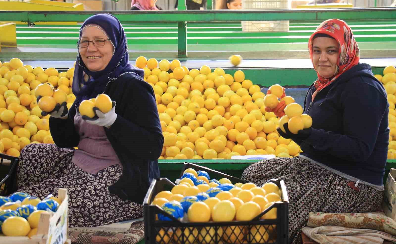 hasattan paketlemeye her alanda kadinlar mesaide 0 ilSVpblU