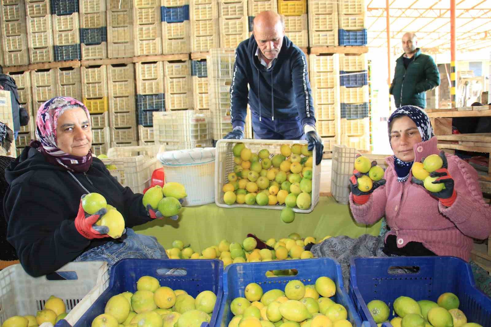 hasattan paketlemeye her alanda kadinlar mesaide 2 EWfhGITc