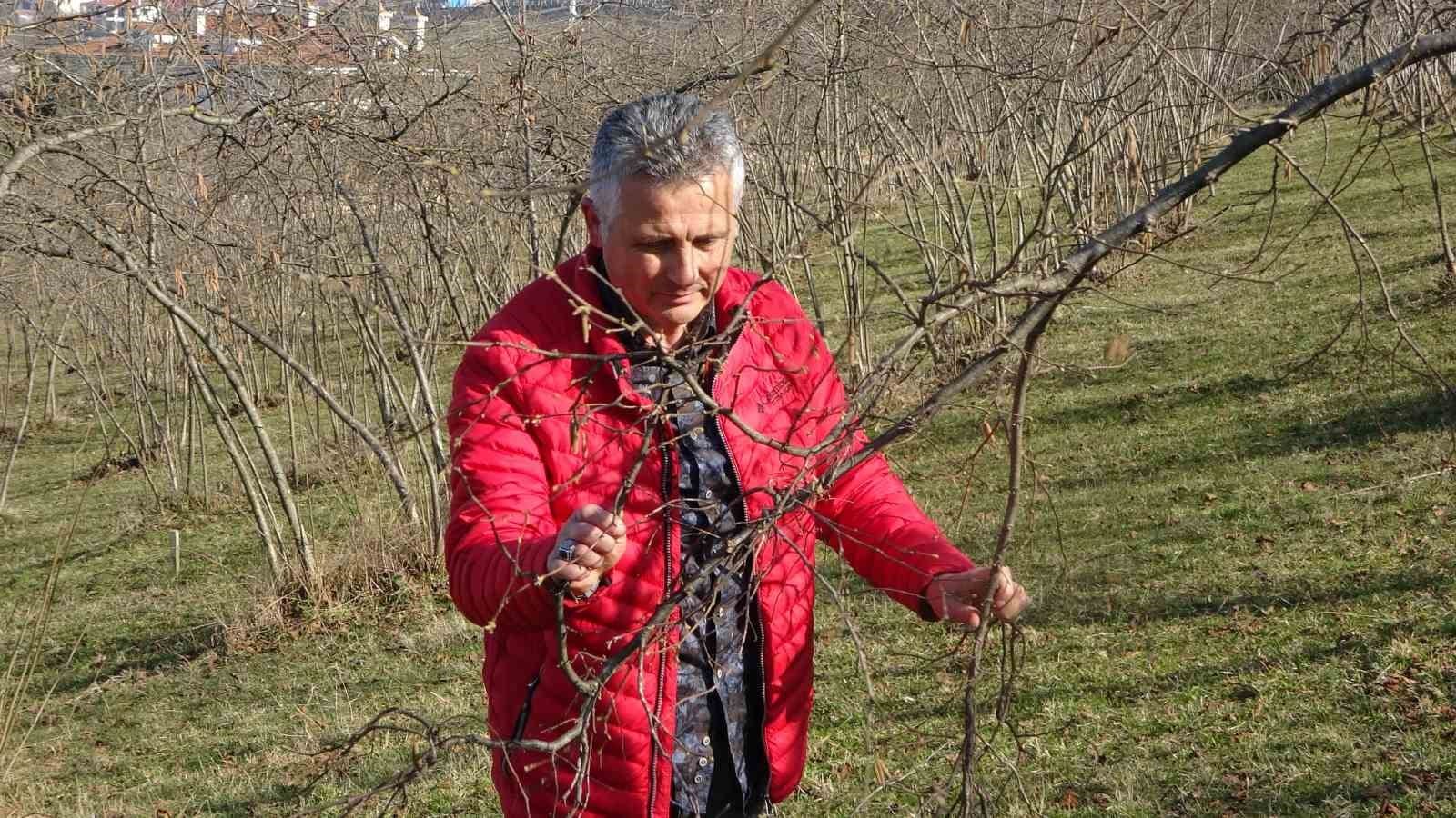 havalarin sicak gitmesi findikta verim endisesine neden oldu 0 4M2S6wnN