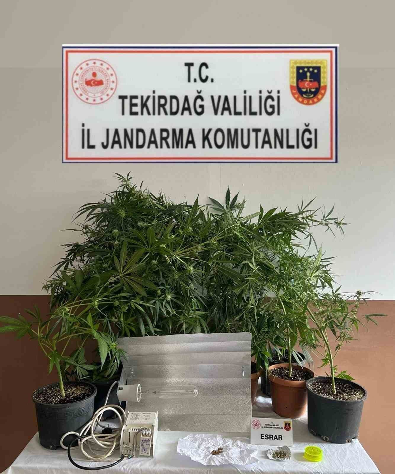 jandarmadan uyusturucuya gecit yok 7 kisi yakalandi 1 eUS7j92f