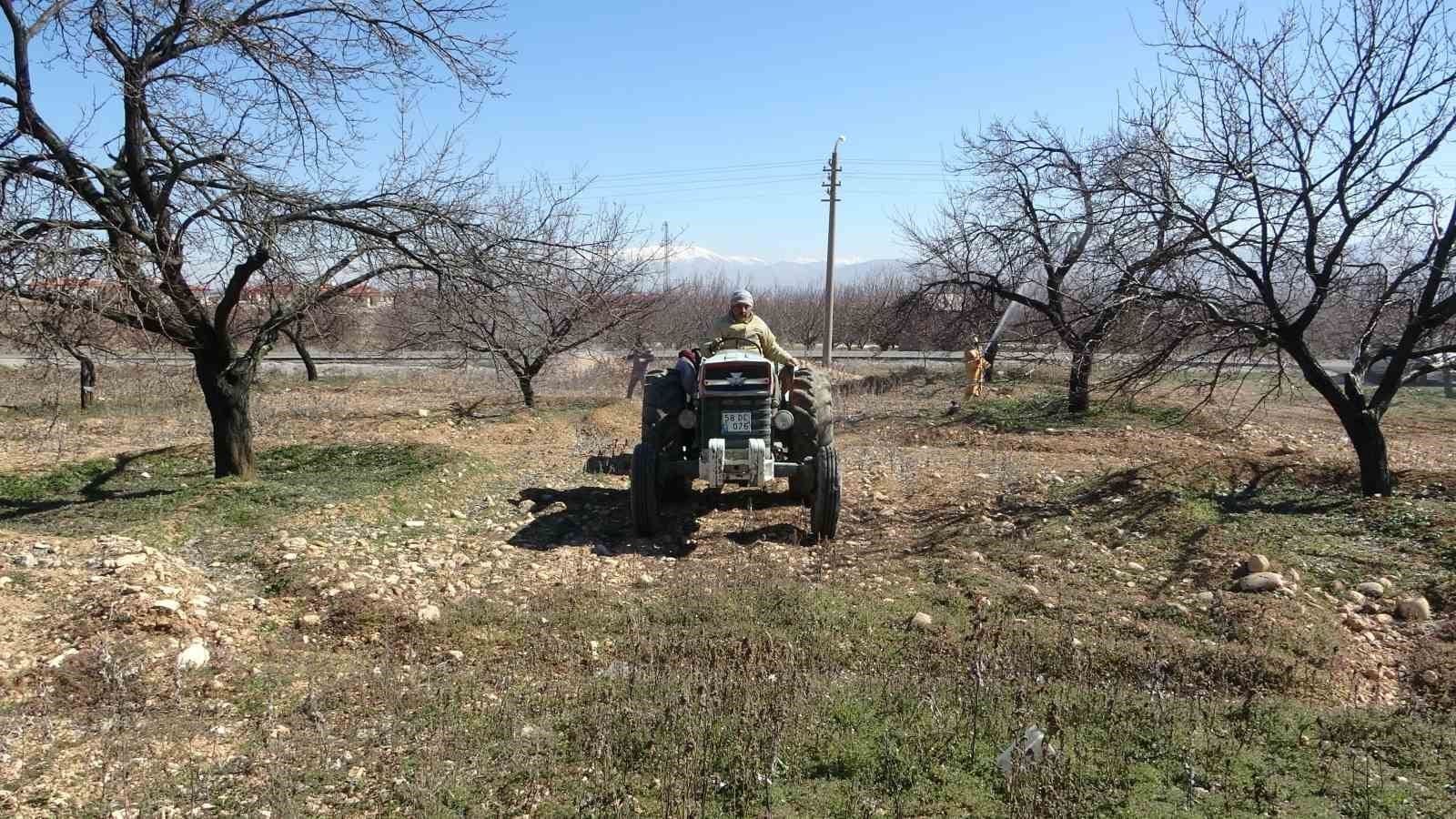 malatyada erken tomurcuklanan kayisi agaclari endiselendirdi 0 n3X6qPlA