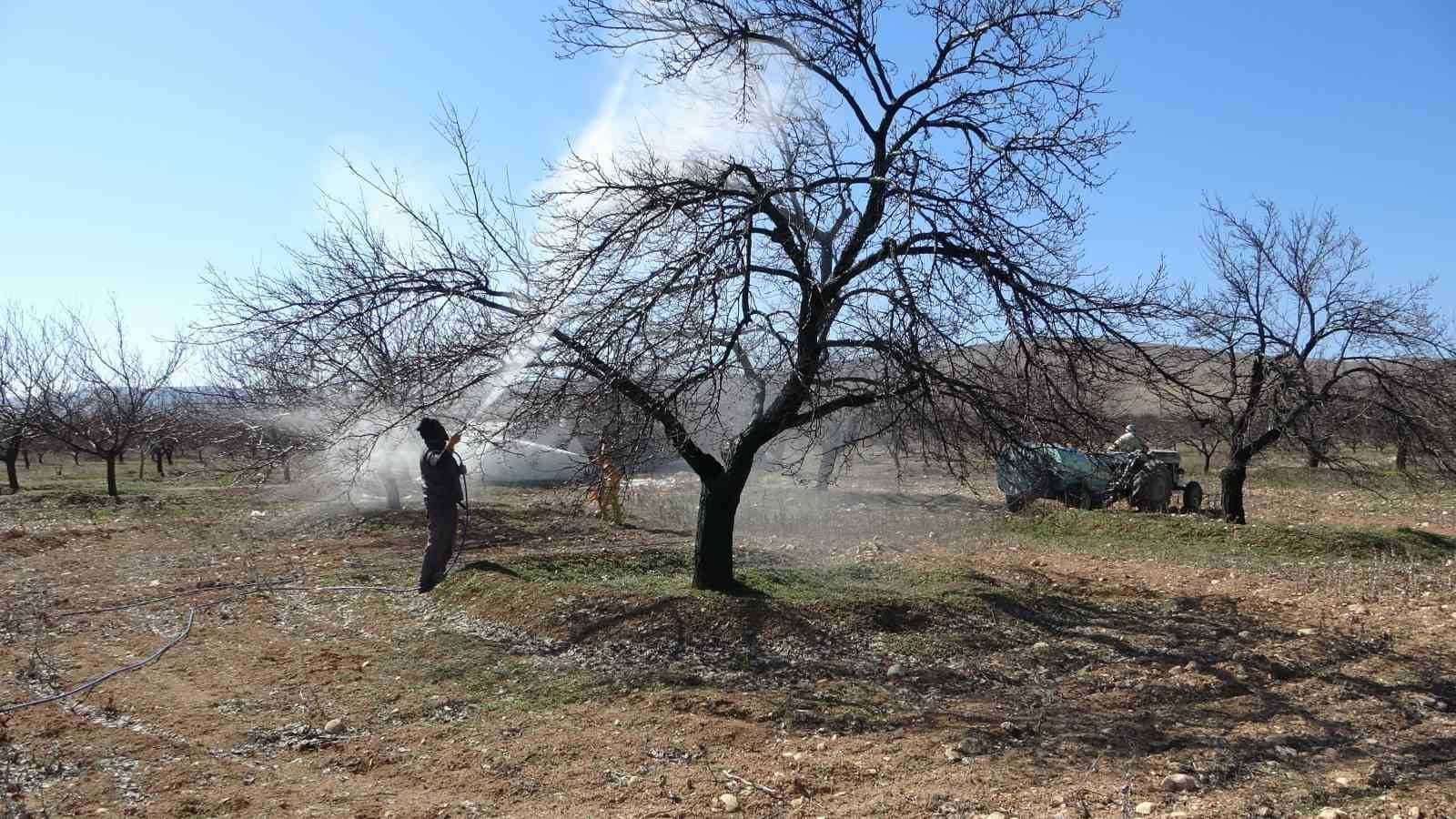 malatyada erken tomurcuklanan kayisi agaclari endiselendirdi 1 CpqBubQc