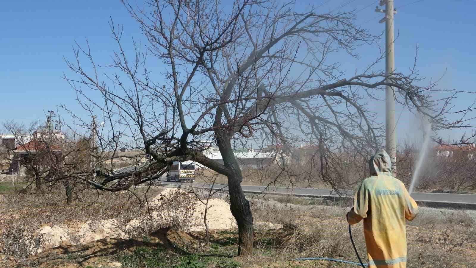 malatyada erken tomurcuklanan kayisi agaclari endiselendirdi 5 HrNuYBlP