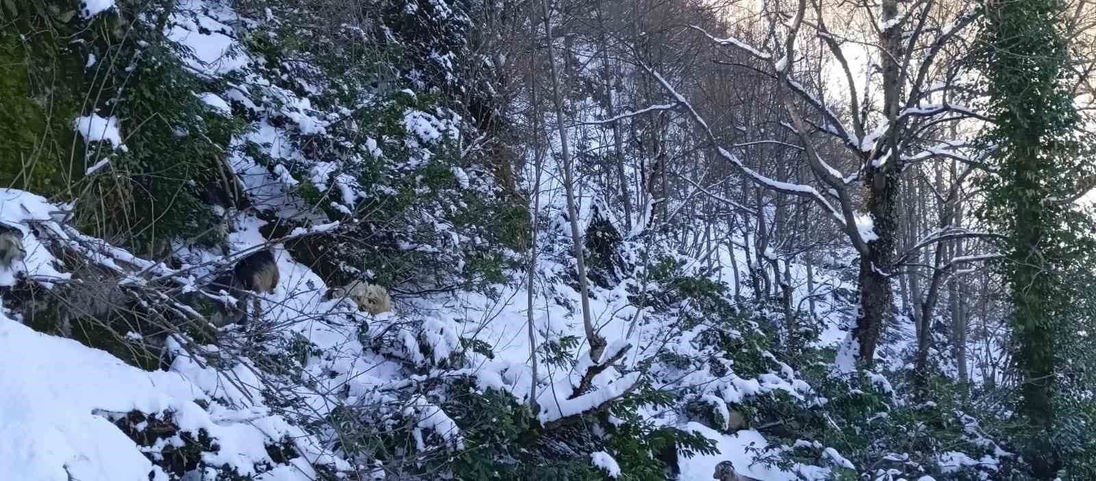 sakaryada iki mevsim ayni gunlerde yasaniyor 0