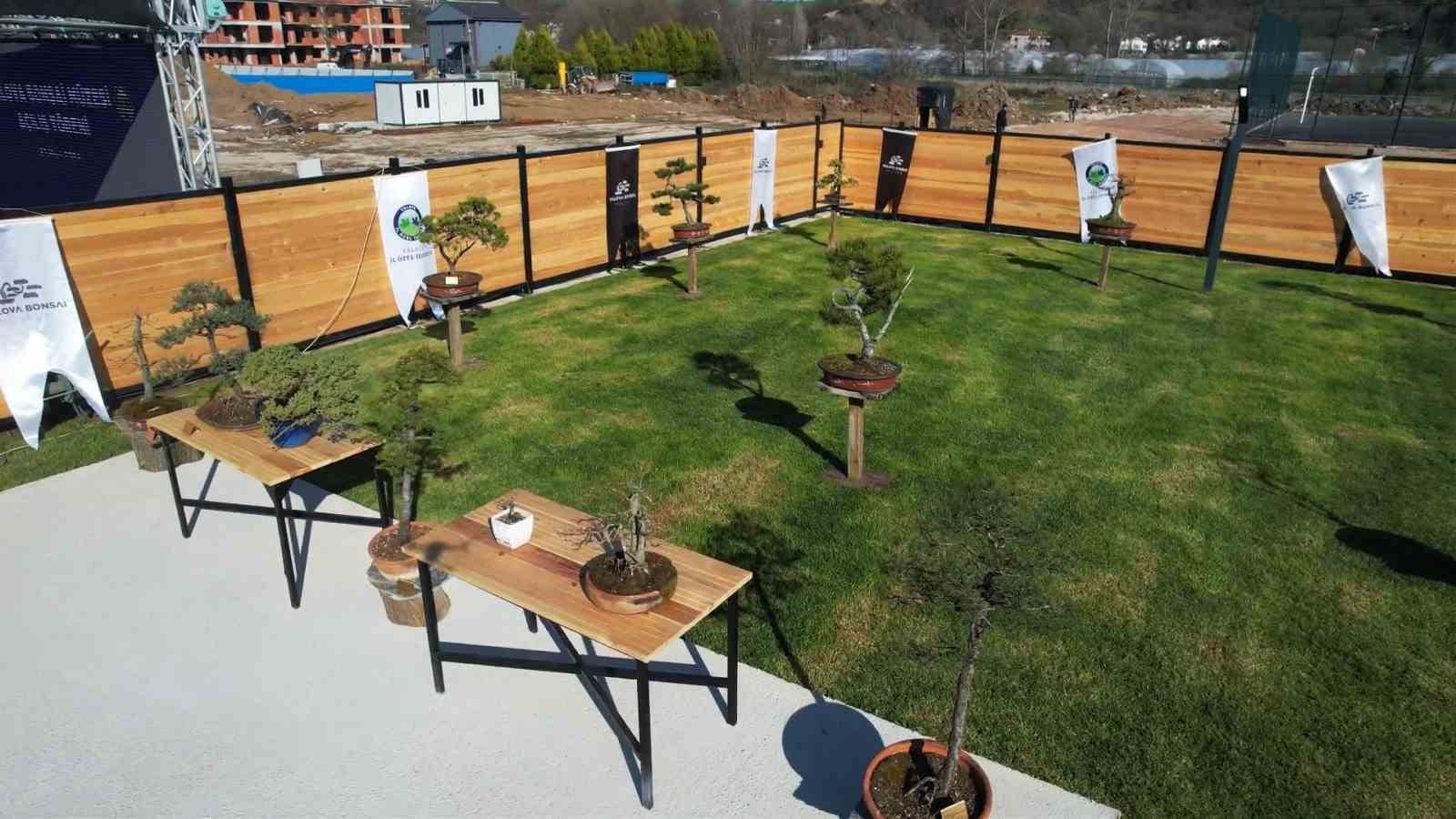 turkiyenin ilk avrupanin en buyuk bonsai muzesi yalovada acildi 4 Mthg5bb7