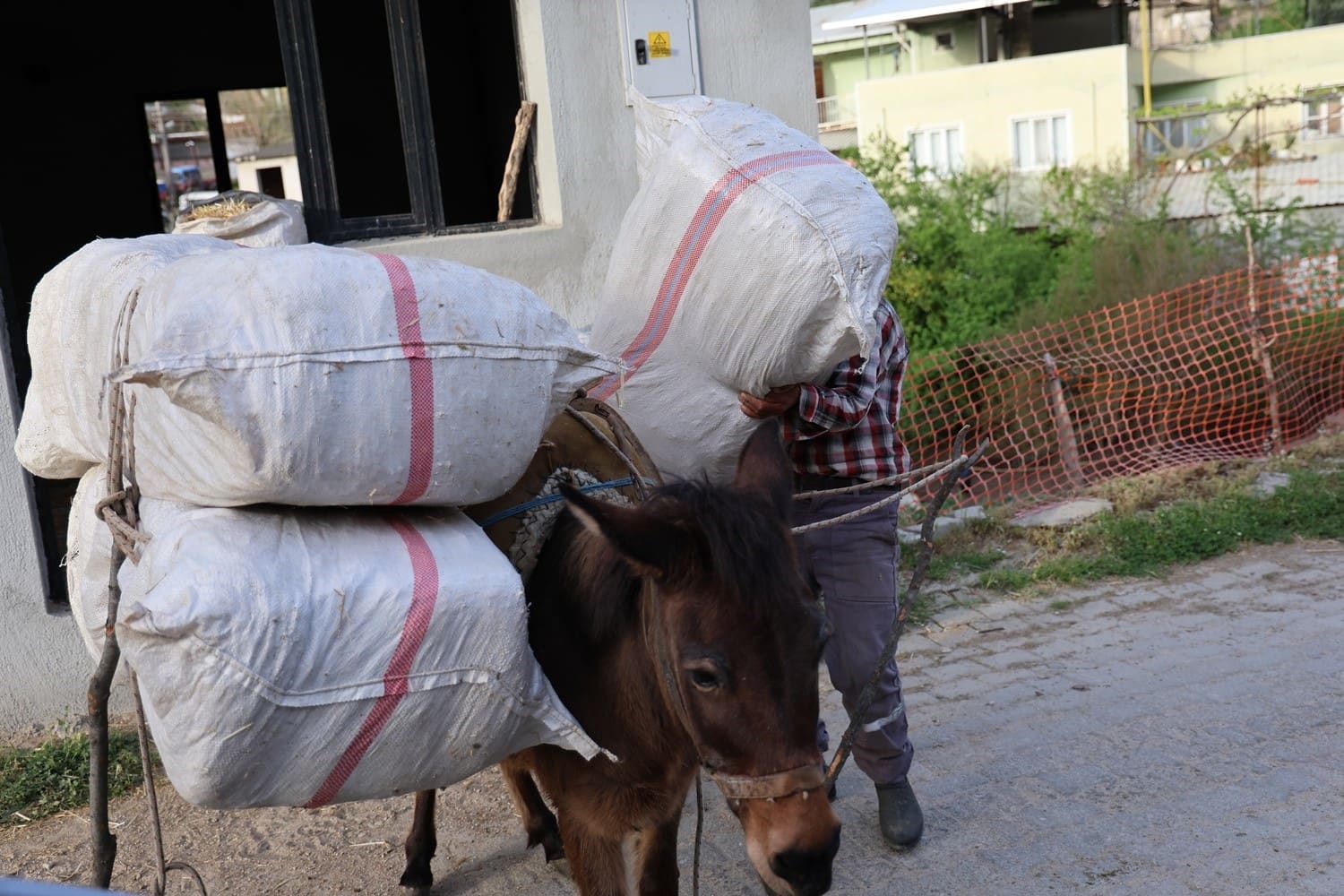 akaryakit zamlari at esek ve katirlari kiymetli kilmaya devam ediyor 1