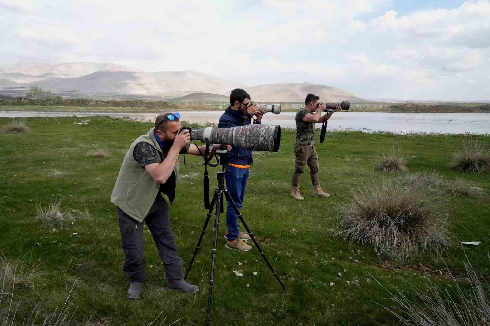 aladaglar milli parki ve nigde akkaya baraji kus fotografcilarinin mekani oldu 0 eWYyHA6s