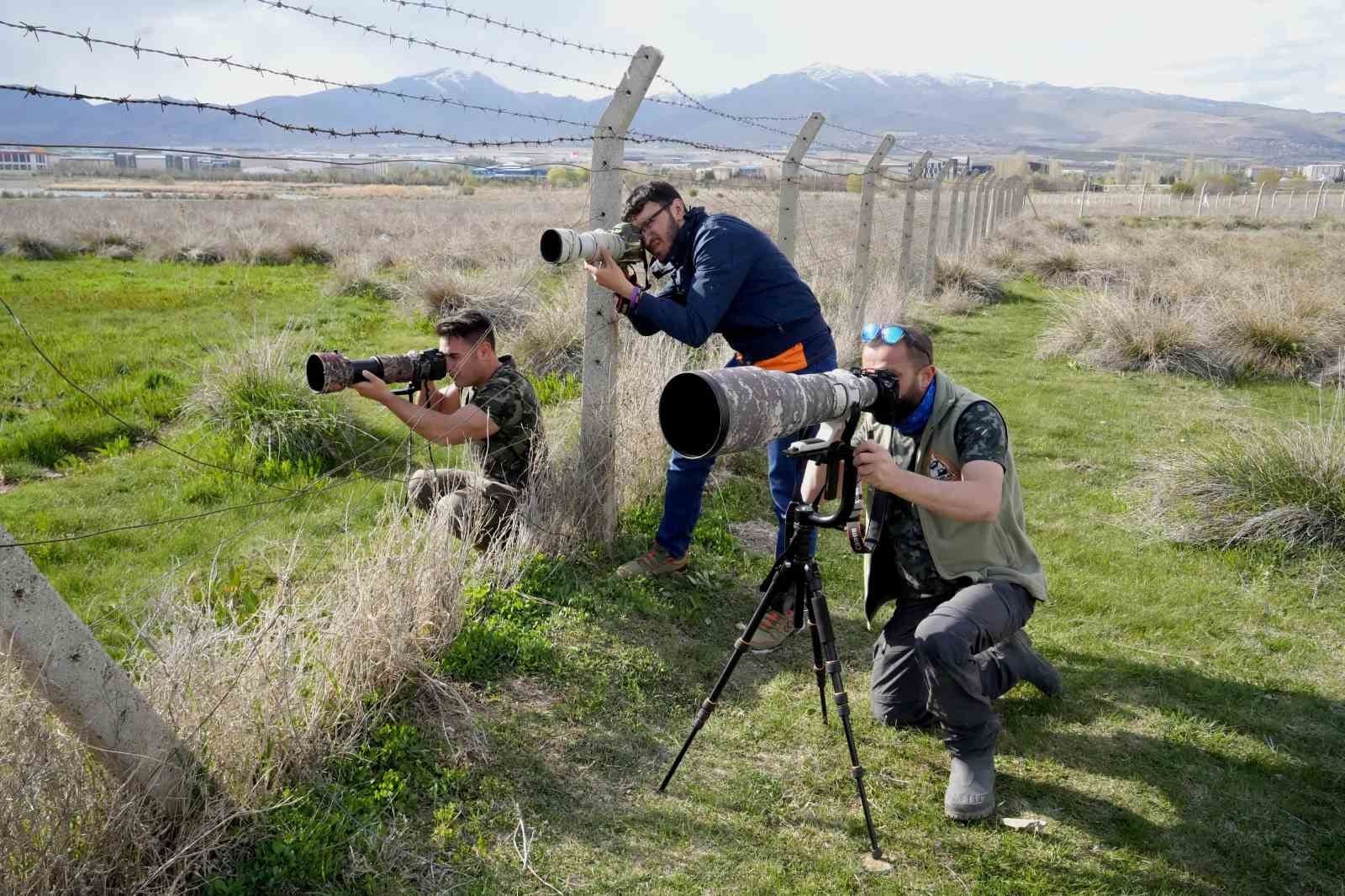 aladaglar milli parki ve nigde akkaya baraji kus fotografcilarinin mekani oldu 1 Y7C7zmiS