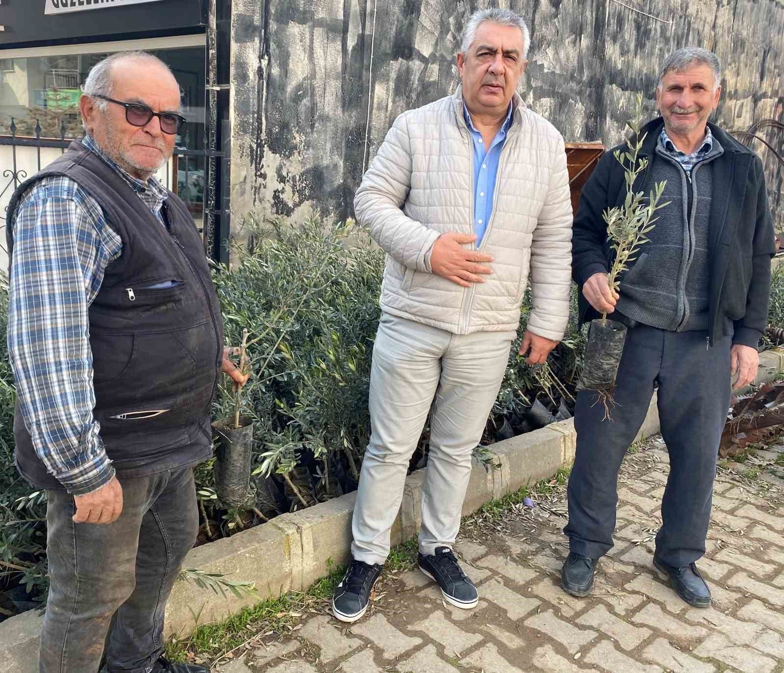 alasehirde uzum baglari sokulup yerine zeytin dikiliyor 4 hyBbPF9y