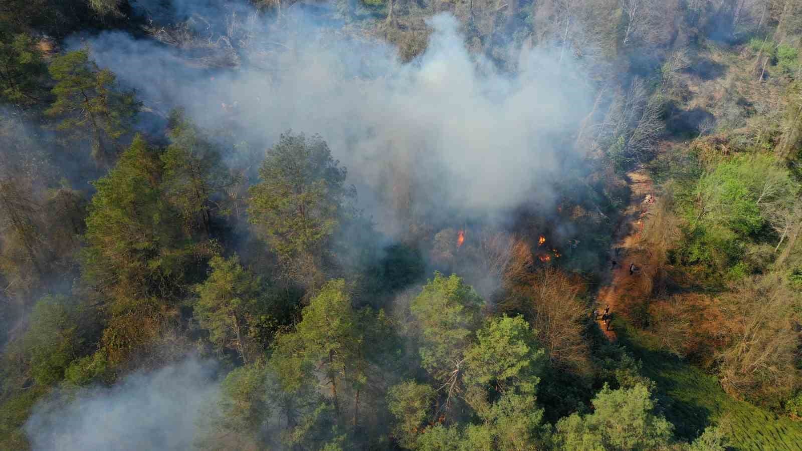 artvinde cikan orman yangininda bir kisi gozaltina alindi 2 9FschRpc