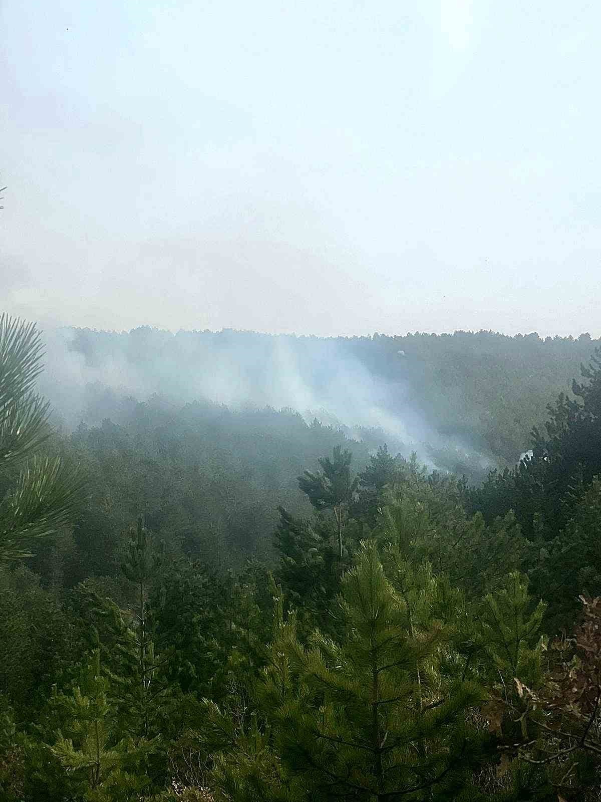 eskisehirde cikan orman yangininda 1 hektarlik alan zarar gordu 1 hGszTiCd