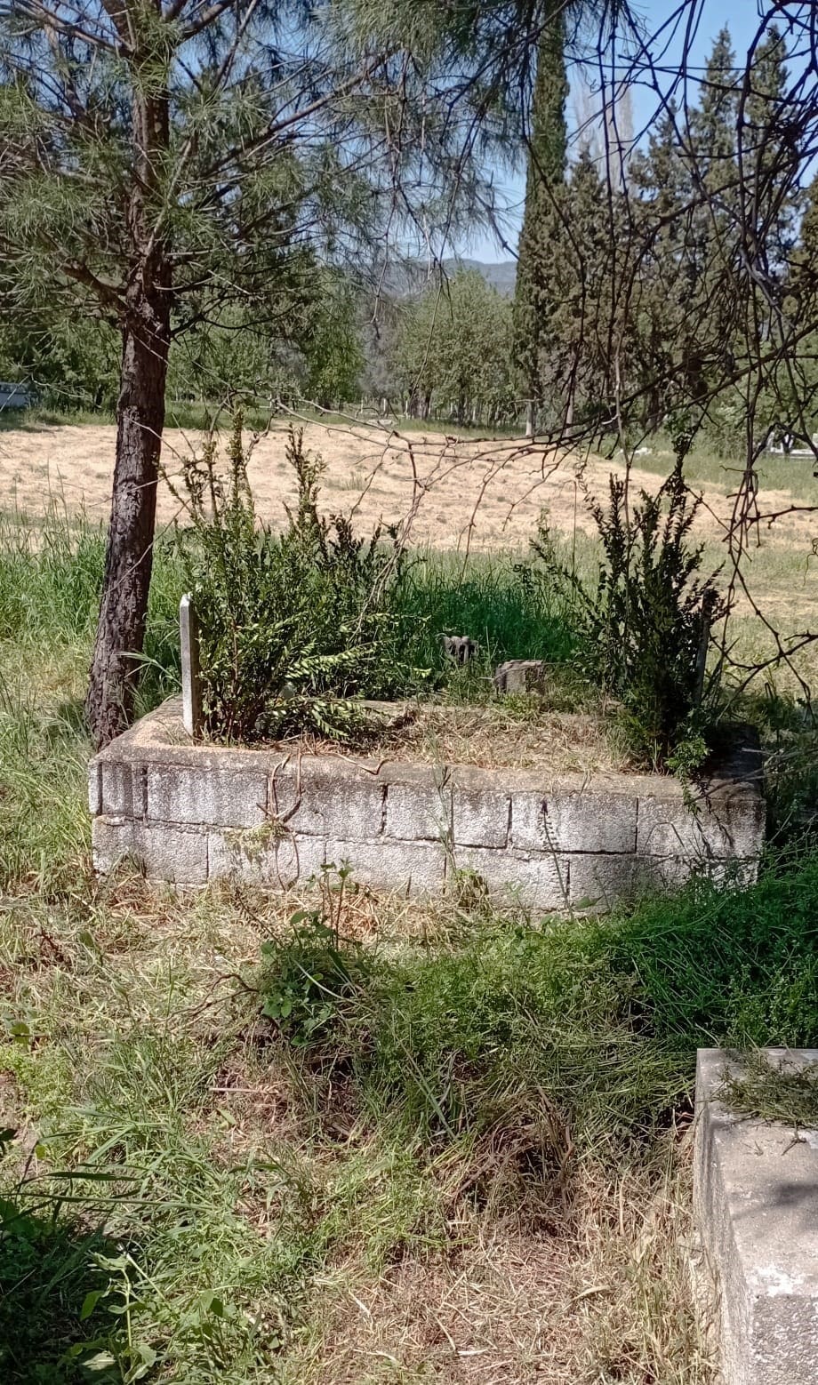 karpuzluda mezarligin bakimsiz hali tepki cekti 2 Nc9eI2WR