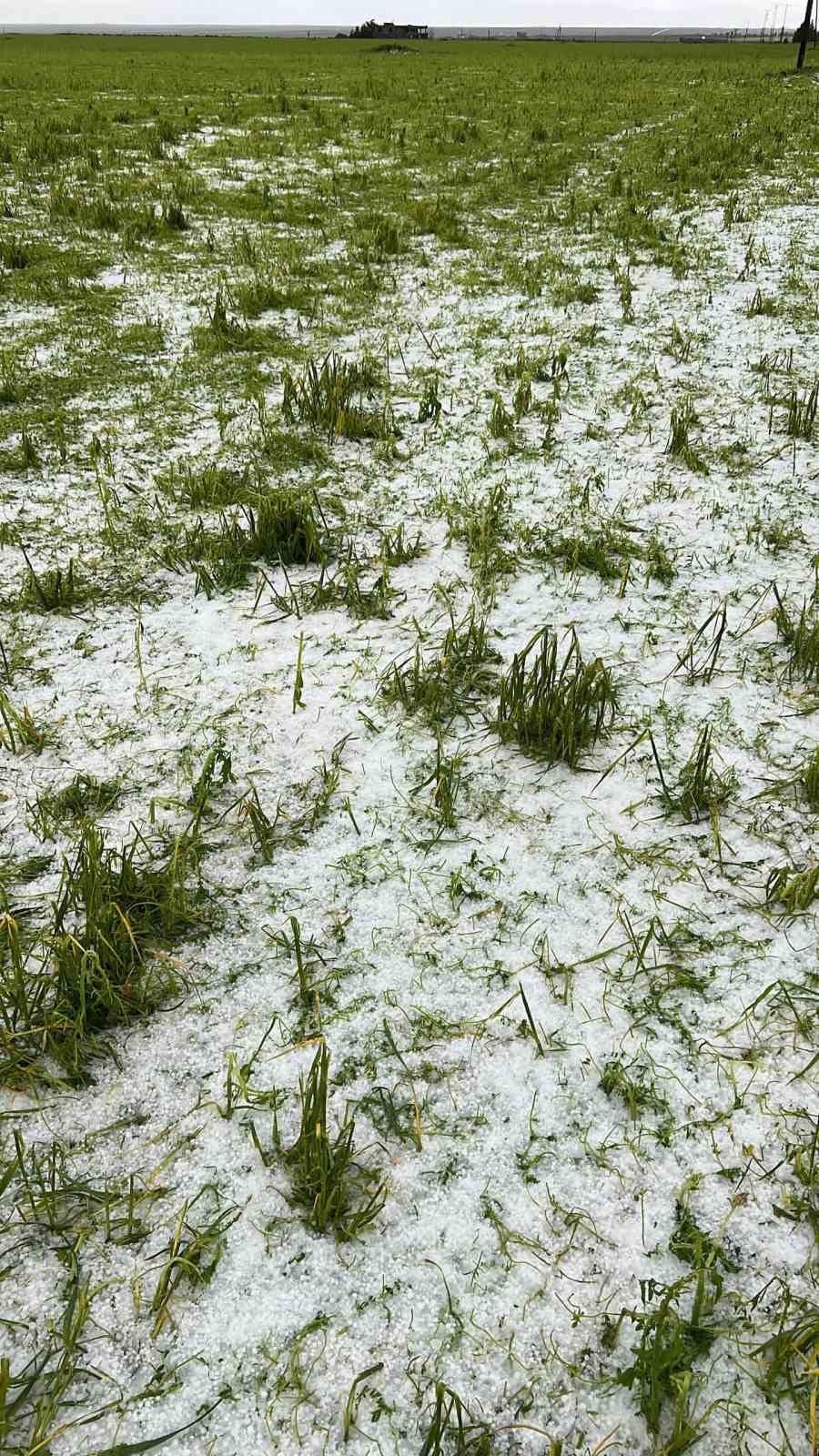 siverekte piknige giden vatandaslar dolu sonrasi araclari camura saplaninca mahsur kaldi 3 ZasILVve