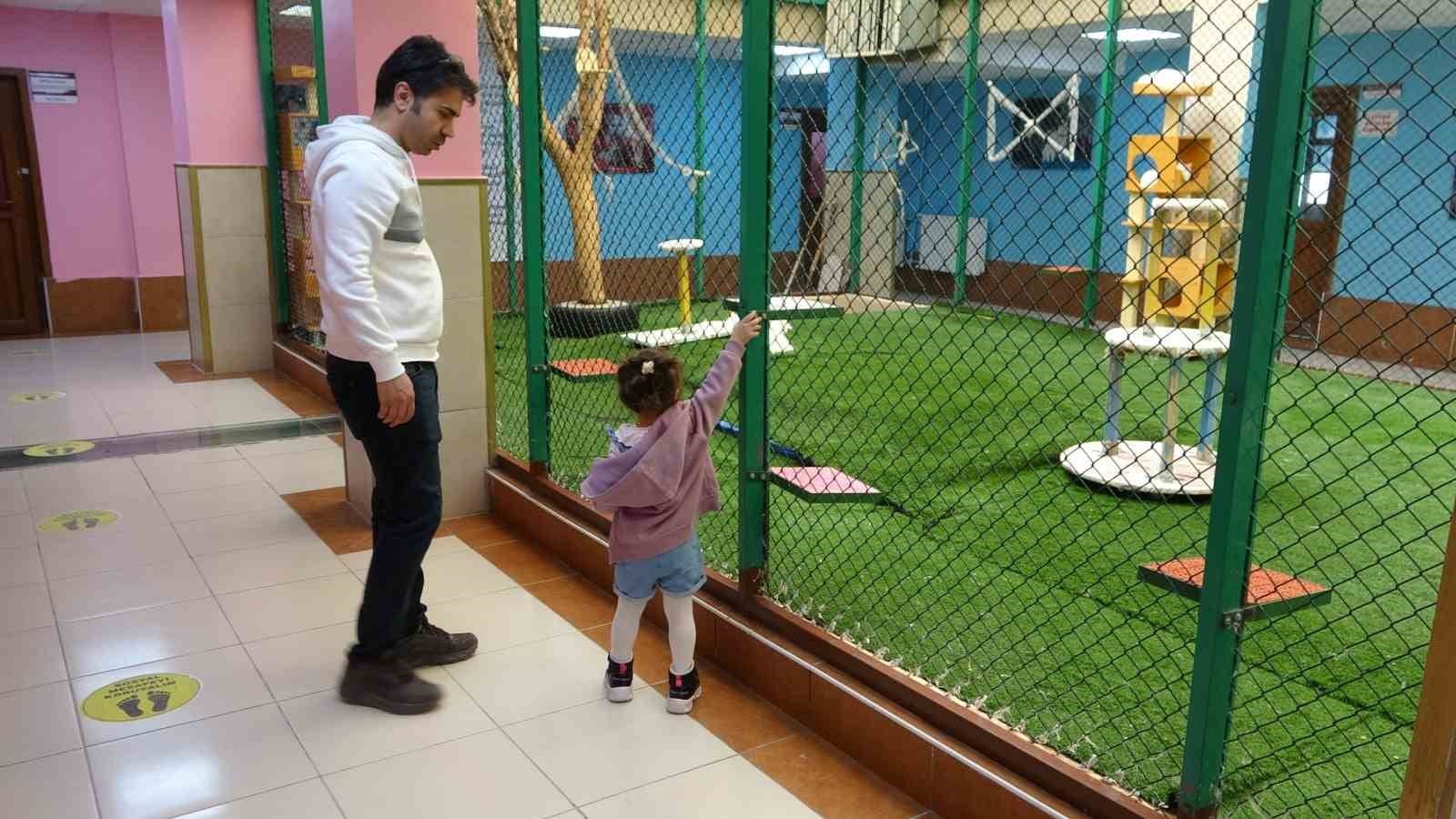 van kedi villasi bayram tatilinde ziyaretcilerini agirliyor 3 kGFiKrj2