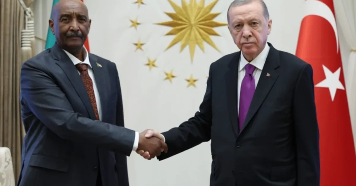 cumhurbaskani-erdogan-sudan-ile-bae-anlasmazliklari-icin-de-devreye-girebiliriz-TfckPSdv.webp