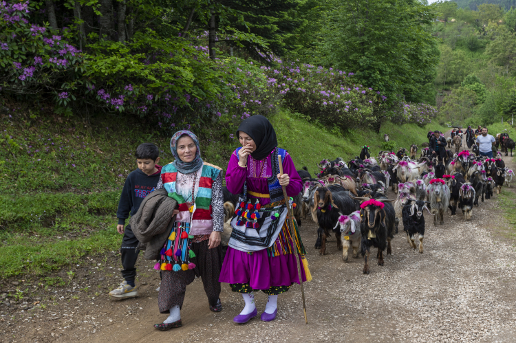 Sakarya'nın kadrajına girenler belli oldu