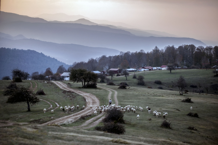 Sakarya'nın kadrajına girenler belli oldu