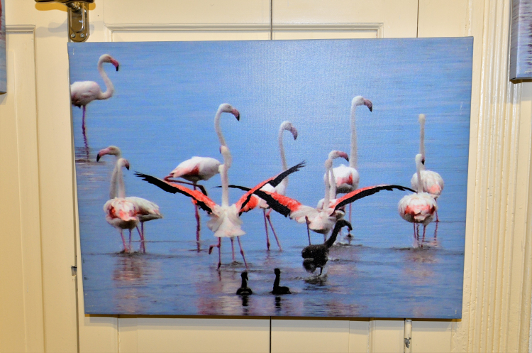 Flamingo adası bornova’da sanatseverlerle buluştu