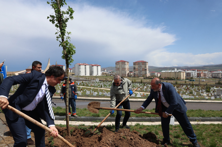 Sivas'ta minik meleklerin mezarlarına manalı düzenleme