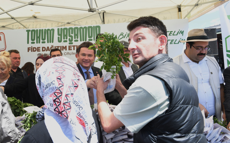 Bursa'da osmangazi belediyesi’nden fiyatsız fide dağıtımı